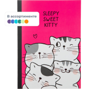 Тетрадь общая So Many Cats 60л, B5, блок бел, клетка,в ассортимент Тетрадь общая So Many Cats 60л, B5, блок бел, клетка,в ассортимент