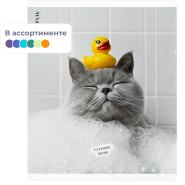 Тетрадь 48 л, клетка КОТ С УТКОЙ А5+, в ассорт/70924 Тетрадь 48 л, клетка КОТ С УТКОЙ А5+, в ассорт/70924