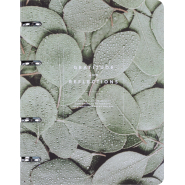 Тетрадь общая, BS, А5, 120л., клетка, кольца. Botanica, эвкалипт N4234 Тетрадь общая, BS, А5, 120л., клетка, кольца. Botanica, эвкалипт N4234