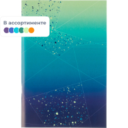 Тетрадь общая А4,48л,кл,скоб,офсет-2 Ice син/зел